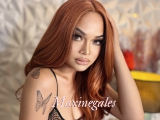 Maxinegales