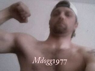 Mdogg1977
