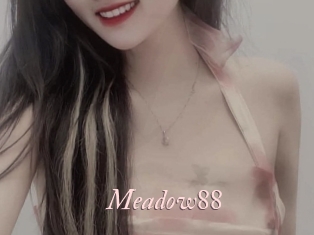 Meadow88