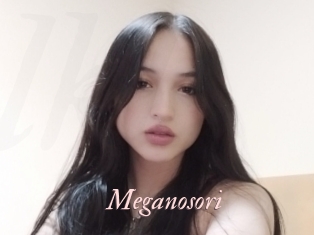 Meganosori