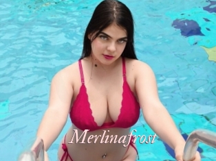 Merlinafrost