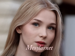 Merylarnet