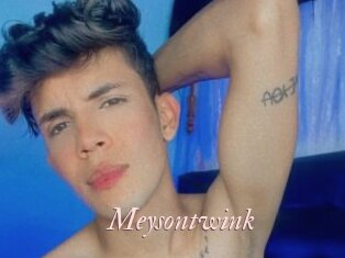 Meysontwink
