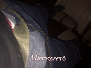 Microwee56