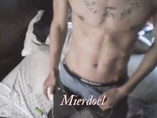 Mierdoel
