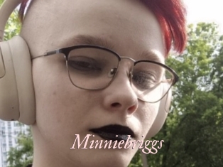 Minniebriggs