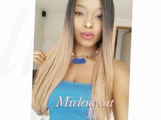 Mirleidycat