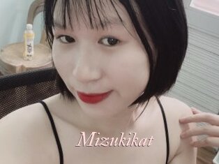 Mizukikat