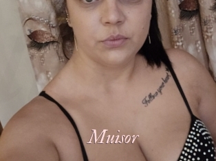 Muisor