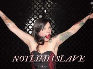 NOTLIMITSLAVE