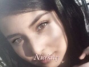 Nicekitty