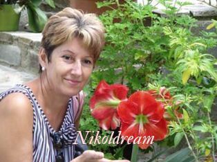 Nikoldream