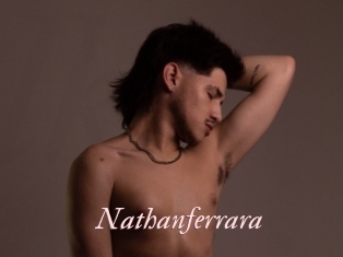 nathanferrara Leukelol