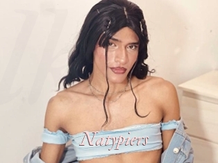 Natypiers
