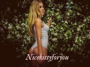 Nicekittyforyou