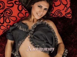 Nicesammy