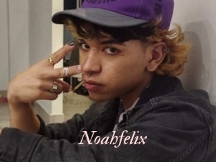 noahfelix Leukelol