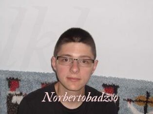 Norbertobadzso