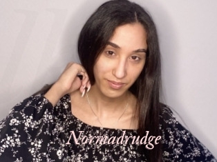 Normadrudge