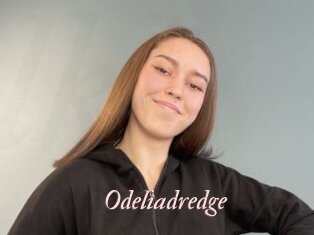 Odeliadredge