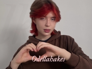 Odellahakes