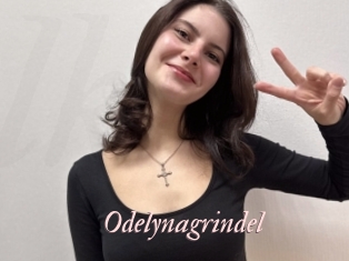 Odelynagrindel