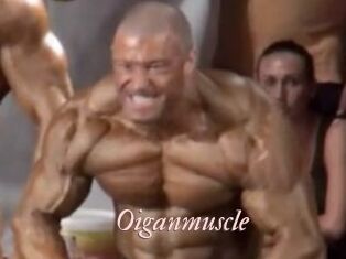 Oigan_muscle