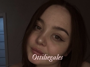 Ottiliegales