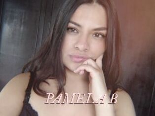 PAMELA_B