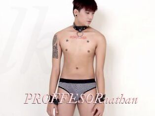 PROFFESORnathan Leukelol