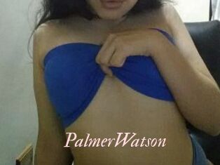 PalmerWatson