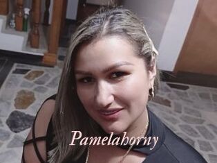 Pamelahorny