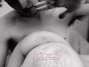 PanPixie