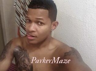 Parker_Maze Leukelol
