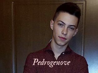Pedrogenove