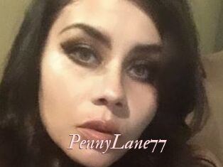 PennyLane77