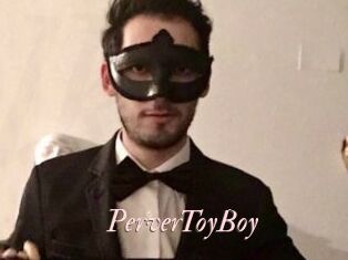 PerverToyBoy