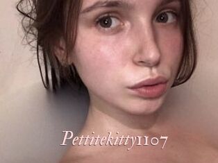 Pettitekitty1107