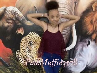PinkMuffin3578