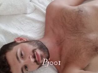 Pj001
