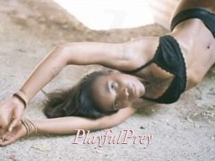 PlayfulPrey