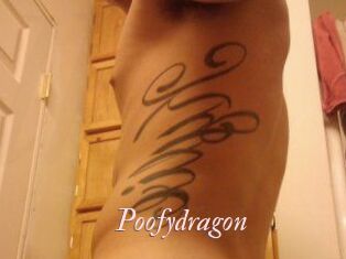 Poofydragon