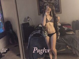 Puglvr