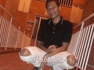 Paholohot