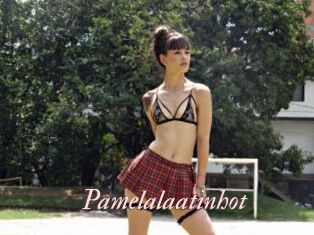 Pamelalaatinhot
