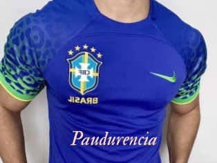 Paudurencia