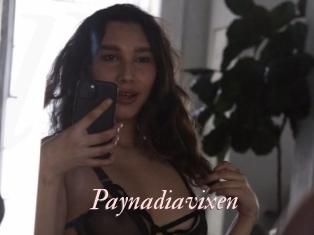 Paynadiavixen
