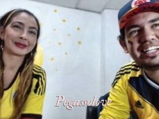 Pegasso_love