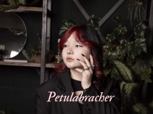 Petulabracher