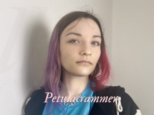 petulacrammer Leukelol